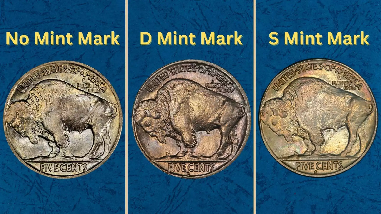 Group of 1918 Buffalo nickels from Philadelphia, Denver, and San Francisco mints showing all three mint mark varieties